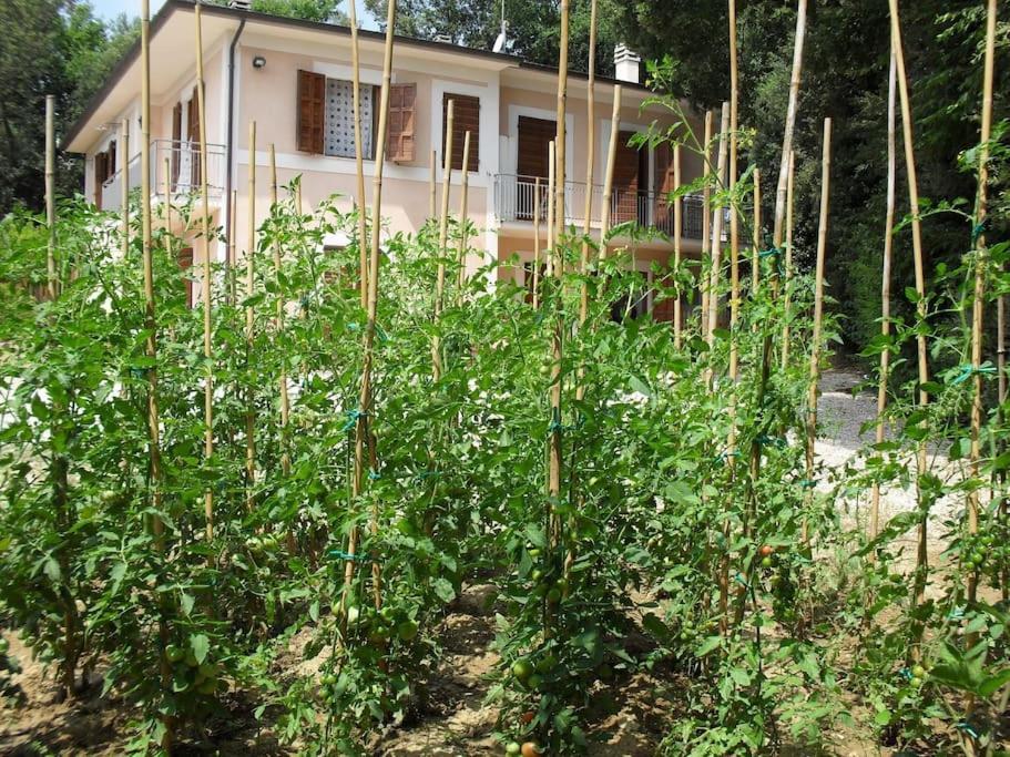 Apartment In Nature,10Min From City Perugia Bagian luar foto